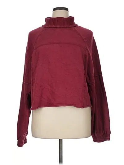 Pre-owned Aerie Turtleneck Sweater In Burgundy