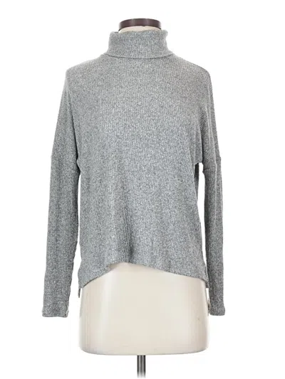Pre-owned Aerie Turtleneck Sweater In Gray