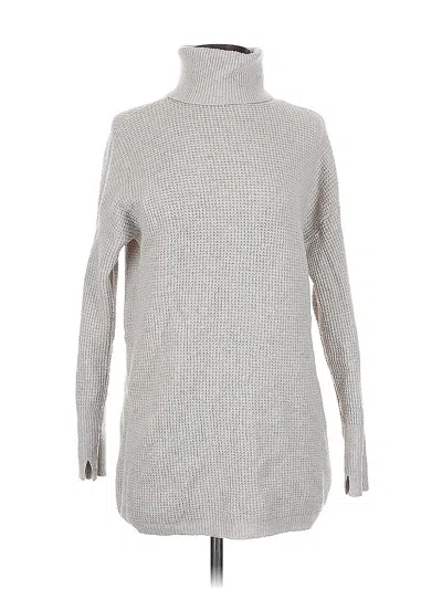 Pre-owned Aerie Turtleneck Sweater In Silver