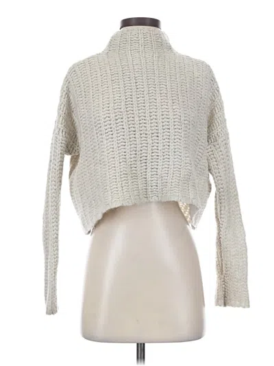 Pre-owned Aerie Turtleneck Sweater In Silver