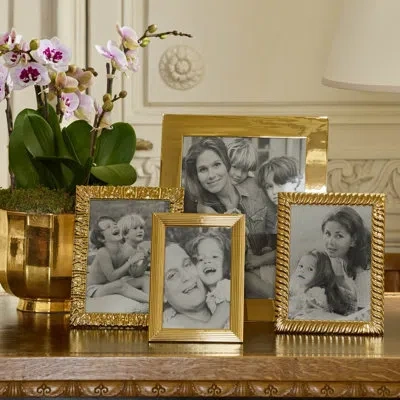 Aerin Alessio Frame In Gold