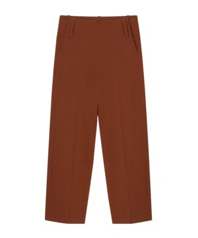 Aeron Belt-loop Dress Pants In Brown