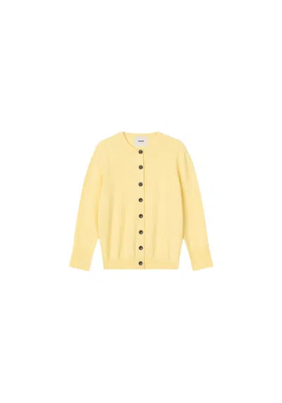 Aeron Plie - Pure Merino Wool Cardigan