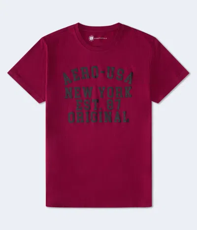 Aéropostale -usa New York Graphic Tee In Multi
