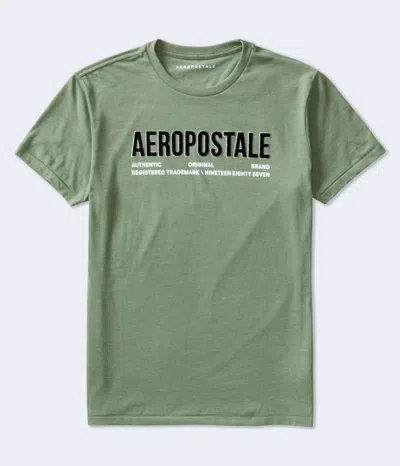 Aéropostale Authentic Logo Appliqué Graphic Tee In Multi