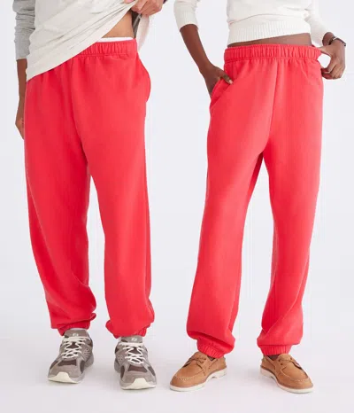 Aéropostale Cloud Soft Jogger Sweatpants In Pink