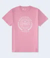 Aéropostale Laurel Circle Flocked Graphic Tee In Multi