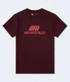 Aéropostale Logo Graphic Tee In Multi