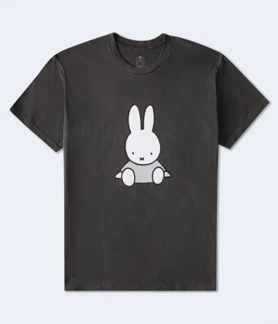 Aéropostale Miffy Relaxed Graphic Tee In Multi