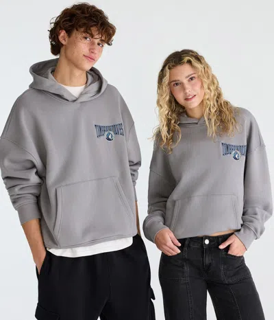 Aéropostale Minnesota Timberwolves Basketball Pullover Hoodie In Gray