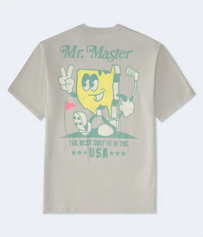 Aéropostale Mr. Master Golf Graphic Tee In Grey