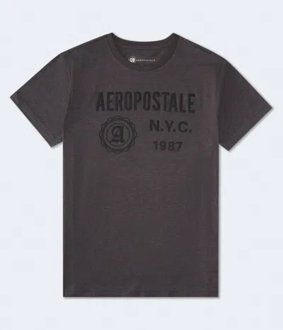 Aéropostale Nyc Seal Graphic Tee In Gray