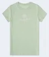 Aéropostale Rose Flocked Graphic Tee In Green
