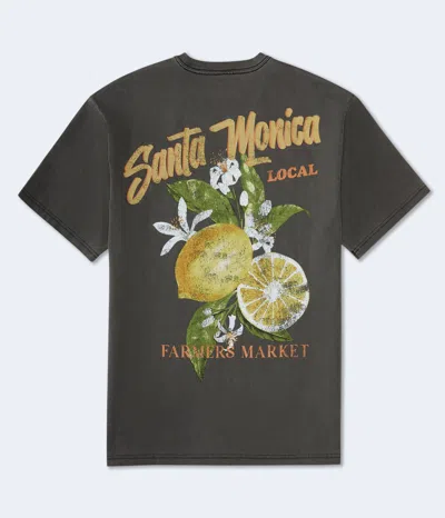 Aéropostale Santa Monica Lemons Graphic Tee In Multi