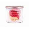 Aéropostale Aeropostale Unisex Raspberry Whipped Cream Cream 14.5 oz Scented Candle 810044122015