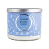 Aéropostale Aeropostale Unisex Starry Night 14.5 oz Scented Candle 810044120516