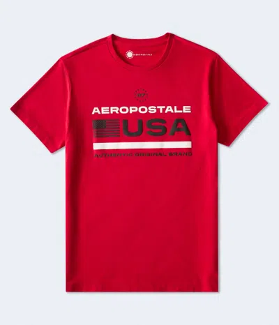 Aéropostale Usa Flag Graphic Tee In Multi