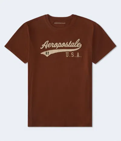 Aéropostale Usa Script Appliqué Graphic Tee In Brown