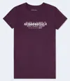 Aéropostale West Coast Coordinates Graphic Tee In Purple