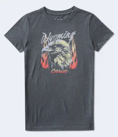 Aéropostale Wyoming Fire Eagle Graphic Tee In Multi