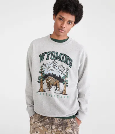 Aéropostale Yellowstone Wyoming Crew Sweatshirt In Multi