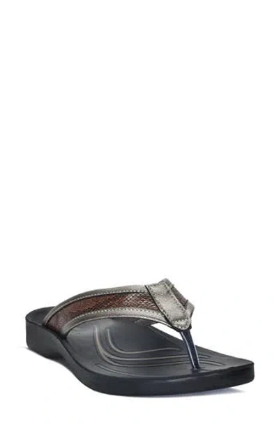 Aerosoft Aerothotic Cupid Flip Flop Sandal In Brown ModeSens