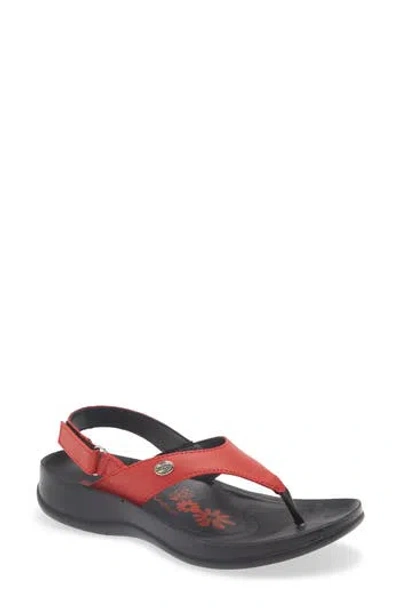 Aerosoft Tuck Slingback Sandal