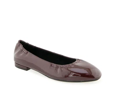 Aerosoles Antonia Flat In Brown