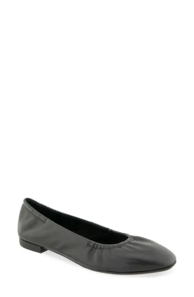 Aerosoles Antonia Flat In Animal Print