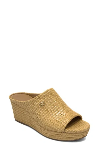 Aerosoles Cafe Woven Wedge Sandal In Brown