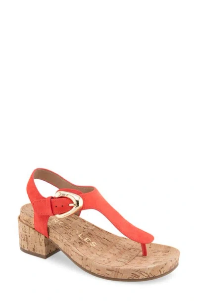 Aerosoles California T-strap Sandal In Coral Suede