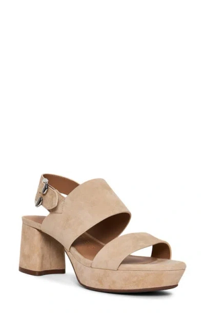 Aerosoles Camera Platform Sandal In Multi