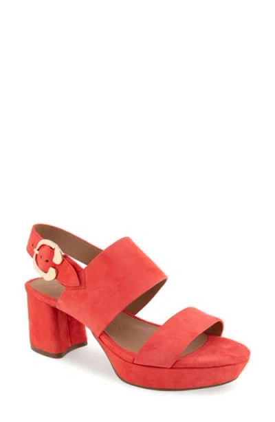 Aerosoles Camera Platform Sandal In Coral Suede