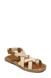 Aerosoles Cargo Toe Loop Sandal In Brown