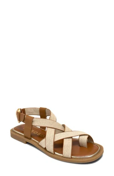 Aerosoles Cargo Toe Loop Sandal In Brown