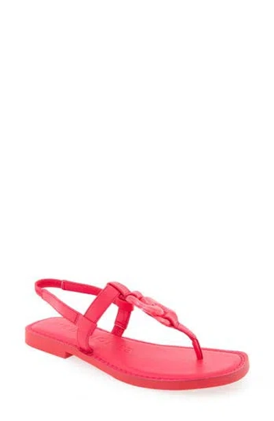 Aerosoles Carmine T-strap Sandal In Virtual Pink Polyurethane