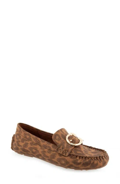 Aerosoles Case Buckle Flat In Leopard Metallic Faux Suede