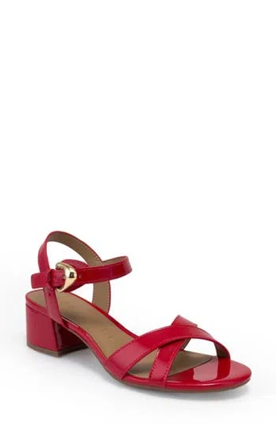 Aerosoles Cinzia Block Heel Sandal In Animal Print