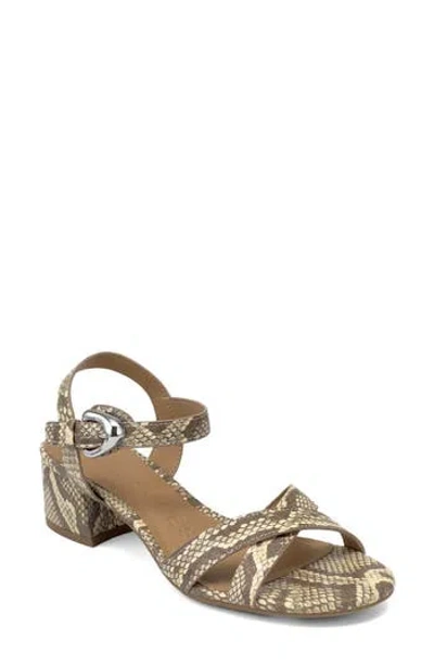 Aerosoles Cinzia Block Heel Sandal In Brown