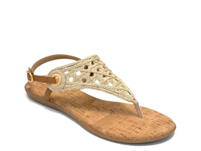 Aerosoles Conclusion Sandal In Brown