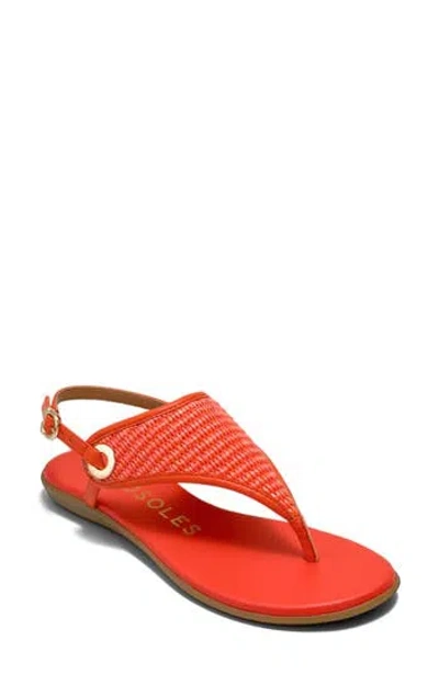 Aerosoles Conclusion Slingback Sandal In Multi