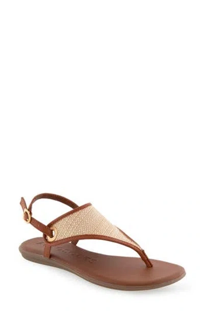 Aerosoles Conclusion Slingback Sandal In Natural Combination