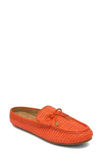 Aerosoles Daffodil Woven Raffia Loafer In Orange