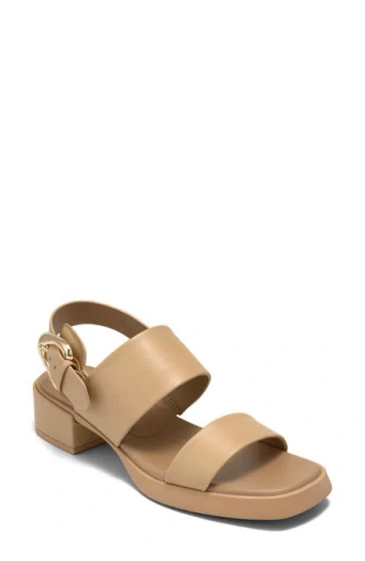 Aerosoles Dantay Slingback Sandal In Multi