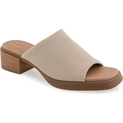 Aerosoles Denise Platform Sandal In Stone Stretch Fabric