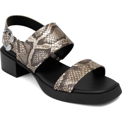 Aerosoles Dove Low Heeled Sandal In Animal Print