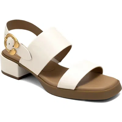 Aerosoles Dove Low Heeled Sandal In Multi