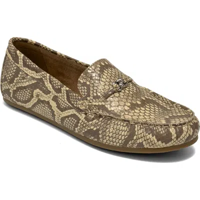 Aerosoles Drita Bit Loafer In Multi