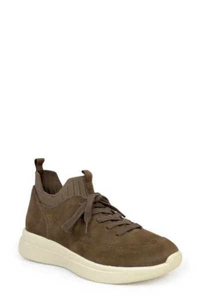 Aerosoles Farra Sneaker In Brown