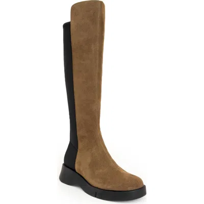 AEROSOLES AEROSOLES FLAVIA KNEE HIGH BOOT
